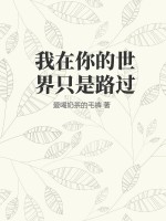 我在你的世界只是路过曲谱