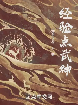 一百级武神加点