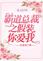 霸道总裁之宠妻无度