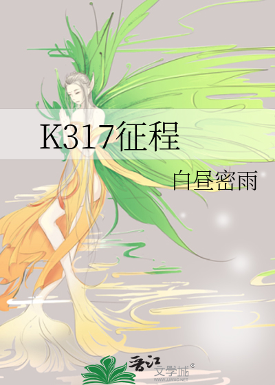 K317征程