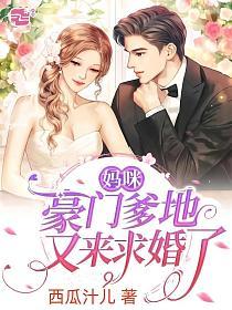 豪门宝贝爹地妈咪结婚吧