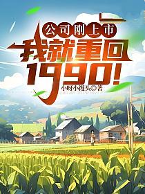 公司刚上市，我就重回1990！