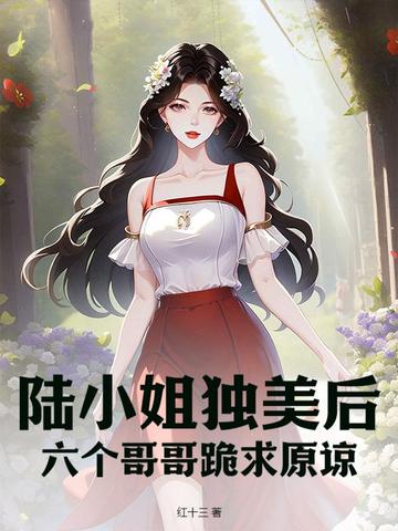 陆小姐又