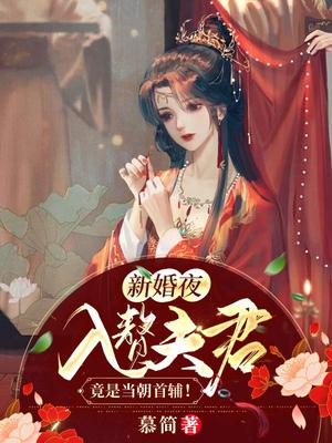 新婚夜，入赘夫君竟是当朝首辅！