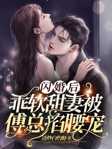 闪婚后傅少把她捧心尖全文免费阅读