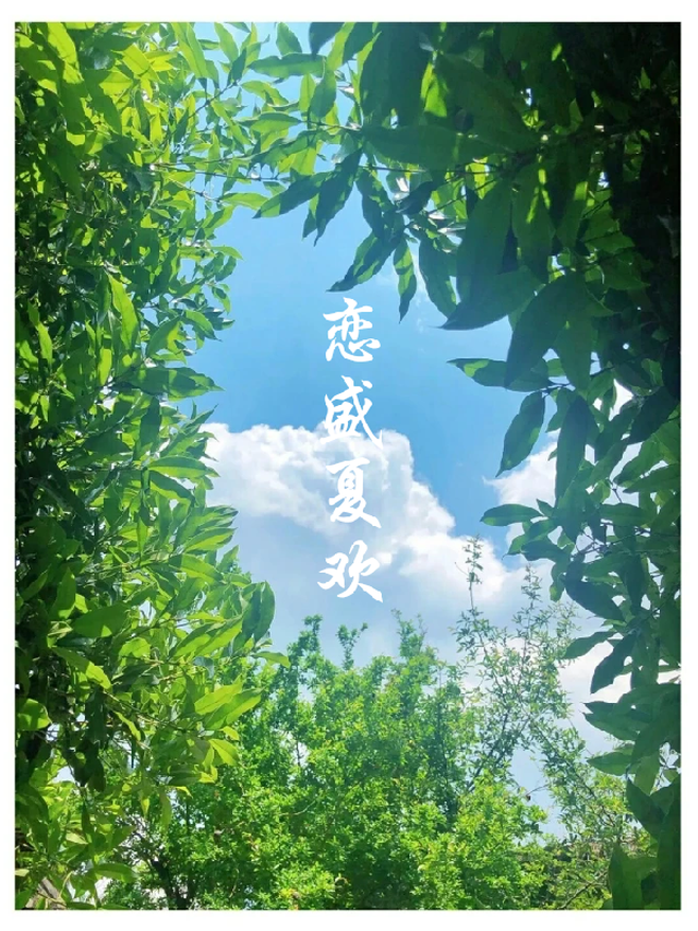 恋盛夏欢