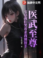 女总裁的医武至尊免费阅读