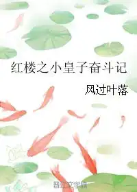 红楼之小皇子奋斗日常小说