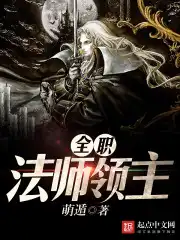 全职法师领主