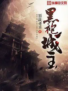 黑袍城主