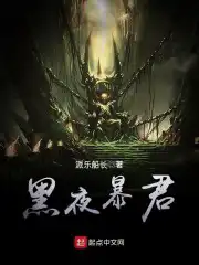 黑夜深度研究