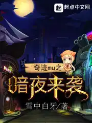 奇迹mu之暗夜来袭