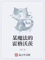 某魔法的霍格沃茨