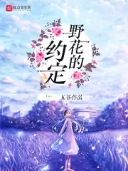 野花歌曲表达什么意思