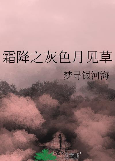 霜降之灰色月见草