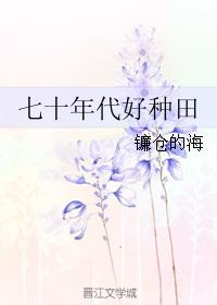 七十年代农村生活